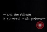 Standbild Insekten United States USA, 1928, aus Sekunde 25 historischem Filmmaterial Videoclip 65675028363