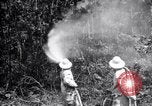 Standbild Insekten United States USA, 1928, aus Sekunde 28 historischem Filmmaterial Videoclip 65675028363