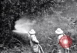 Standbild Insekten United States USA, 1928, aus Sekunde 29 historischem Filmmaterial Videoclip 65675028363