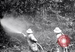 Standbild Insekten United States USA, 1928, aus Sekunde 30 historischem Filmmaterial Videoclip 65675028363
