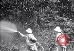 Standbild Insekten United States USA, 1928, aus Sekunde 31 historischem Filmmaterial Videoclip 65675028363