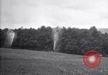 Standbild Insekten United States USA, 1928, aus Sekunde 39 historischem Filmmaterial Videoclip 65675028363