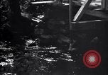 Standbild Insekten United States USA, 1928, aus Sekunde 26 historischem Filmmaterial Videoclip 65675028364