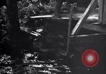 Standbild Insekten United States USA, 1928, aus Sekunde 32 historischem Filmmaterial Videoclip 65675028364