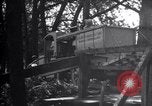 Standbild Insekten United States USA, 1928, aus Sekunde 44 historischem Filmmaterial Videoclip 65675028364