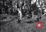 Standbild Insekten United States USA, 1928, aus Sekunde 56 historischem Filmmaterial Videoclip 65675028364