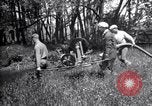 Standbild Insekten United States USA, 1928, aus Sekunde 57 historischem Filmmaterial Videoclip 65675028364
