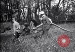 Standbild Insekten United States USA, 1928, aus Sekunde 58 historischem Filmmaterial Videoclip 65675028364