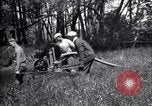 Standbild Insekten United States USA, 1928, aus Sekunde 59 historischem Filmmaterial Videoclip 65675028364