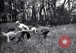 Standbild Insekten United States USA, 1928, aus Sekunde 60 historischem Filmmaterial Videoclip 65675028364