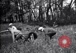 Standbild Insekten United States USA, 1928, aus Sekunde 61 historischem Filmmaterial Videoclip 65675028364