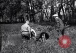 Standbild Insekten United States USA, 1928, aus Sekunde 62 historischem Filmmaterial Videoclip 65675028364