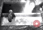 Standbild Insekten United States USA, 1928, aus Sekunde 9 historischem Filmmaterial Videoclip 65675028365