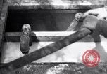 Standbild Insekten United States USA, 1928, aus Sekunde 15 historischem Filmmaterial Videoclip 65675028365