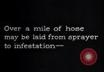 Standbild Insekten United States USA, 1928, aus Sekunde 23 historischem Filmmaterial Videoclip 65675028365