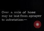 Standbild Insekten United States USA, 1928, aus Sekunde 24 historischem Filmmaterial Videoclip 65675028365