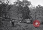 Standbild Insekten United States USA, 1928, aus Sekunde 31 historischem Filmmaterial Videoclip 65675028365