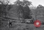 Standbild Insekten United States USA, 1928, aus Sekunde 32 historischem Filmmaterial Videoclip 65675028365
