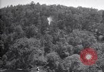 Standbild Insekten United States USA, 1928, aus Sekunde 53 historischem Filmmaterial Videoclip 65675028365