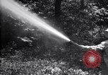 Standbild Insekten United States USA, 1928, aus Sekunde 61 historischem Filmmaterial Videoclip 65675028365