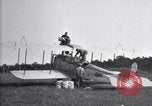 Standbild Insekten United States USA, 1928, aus Sekunde 14 historischem Filmmaterial Videoclip 65675028366