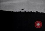 Standbild Insekten United States USA, 1928, aus Sekunde 19 historischem Filmmaterial Videoclip 65675028366