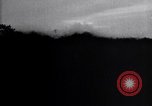 Standbild Insekten United States USA, 1928, aus Sekunde 29 historischem Filmmaterial Videoclip 65675028366