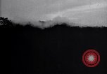 Standbild Insekten United States USA, 1928, aus Sekunde 30 historischem Filmmaterial Videoclip 65675028366
