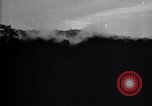 Standbild Insekten United States USA, 1928, aus Sekunde 32 historischem Filmmaterial Videoclip 65675028366