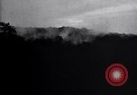 Standbild Insekten United States USA, 1928, aus Sekunde 36 historischem Filmmaterial Videoclip 65675028366