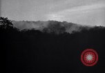 Standbild Insekten United States USA, 1928, aus Sekunde 40 historischem Filmmaterial Videoclip 65675028366
