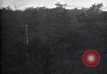 Standbild Insekten United States USA, 1928, aus Sekunde 62 historischem Filmmaterial Videoclip 65675028366