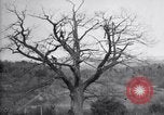 Standbild Gift spritzen United States USA, 1928, aus Sekunde 14 historischem Filmmaterial Videoclip 65675028367