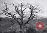 Standbild Gift spritzen United States USA, 1928, aus Sekunde 15 historischem Filmmaterial Videoclip 65675028367