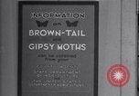 Standbild Gift spritzen United States USA, 1928, aus Sekunde 42 historischem Filmmaterial Videoclip 65675028367