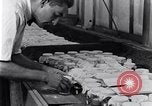 Standbild marine Borer Beaufort United States USA, 1930, aus Sekunde 33 historischem Filmmaterial Videoclip 65675028368