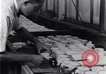 Standbild marine Borer Beaufort United States USA, 1930, aus Sekunde 34 historischem Filmmaterial Videoclip 65675028368