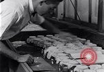 Standbild marine Borer Beaufort United States USA, 1930, aus Sekunde 35 historischem Filmmaterial Videoclip 65675028368