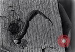 Standbild marine Borer Beaufort United States USA, 1930, aus Sekunde 55 historischem Filmmaterial Videoclip 65675028368