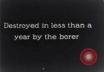 Standbild marine Borer Beaufort United States USA, 1930, aus Sekunde 57 historischem Filmmaterial Videoclip 65675028368