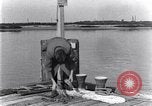 Standbild marine Borer Edgewood Arsenal Maryland USA, 1930, aus Sekunde 13 historischem Filmmaterial Videoclip 65675028369