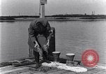 Standbild marine Borer Edgewood Arsenal Maryland USA, 1930, aus Sekunde 14 historischem Filmmaterial Videoclip 65675028369