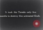 Standbild marine Borer Edgewood Arsenal Maryland USA, 1930, aus Sekunde 15 historischem Filmmaterial Videoclip 65675028369
