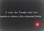 Standbild marine Borer Edgewood Arsenal Maryland USA, 1930, aus Sekunde 16 historischem Filmmaterial Videoclip 65675028369