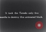 Standbild marine Borer Edgewood Arsenal Maryland USA, 1930, aus Sekunde 20 historischem Filmmaterial Videoclip 65675028369