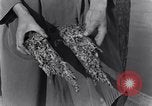 Standbild marine Borer Edgewood Arsenal Maryland USA, 1930, aus Sekunde 21 historischem Filmmaterial Videoclip 65675028369