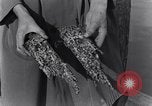 Standbild marine Borer Edgewood Arsenal Maryland USA, 1930, aus Sekunde 22 historischem Filmmaterial Videoclip 65675028369