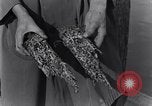 Standbild marine Borer Edgewood Arsenal Maryland USA, 1930, aus Sekunde 23 historischem Filmmaterial Videoclip 65675028369