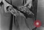 Standbild marine Borer Edgewood Arsenal Maryland USA, 1930, aus Sekunde 26 historischem Filmmaterial Videoclip 65675028369
