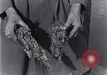 Standbild marine Borer Edgewood Arsenal Maryland USA, 1930, aus Sekunde 30 historischem Filmmaterial Videoclip 65675028369